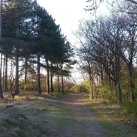 Met Besloten Tuin * Egmond-Binnen