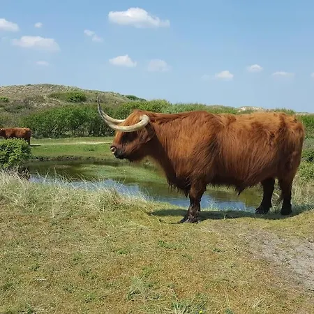 Ferienhaus Met Besloten Tuin