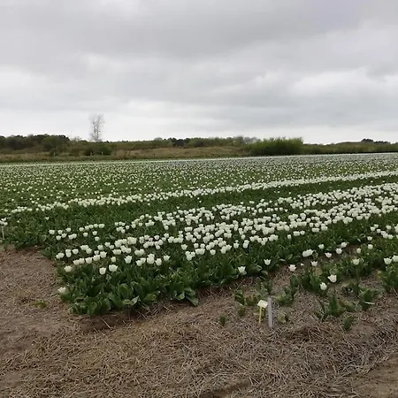 Met Besloten Tuin Casa de Férias *
