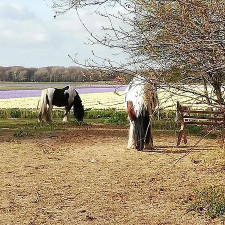 Met Besloten Tuin Casa de Férias