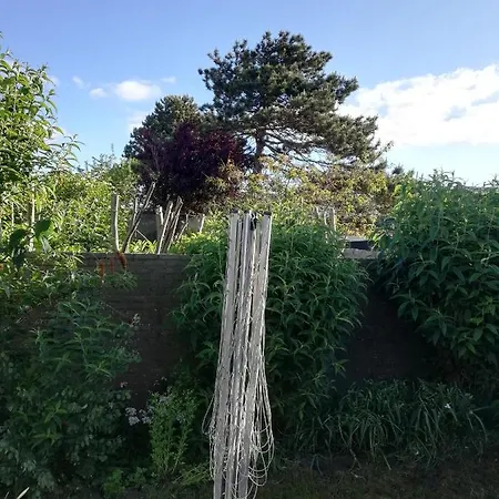 בית נופש Met Besloten Tuin