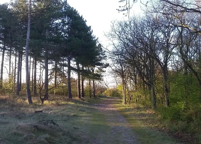 Met Besloten Tuin * Egmond-Binnen