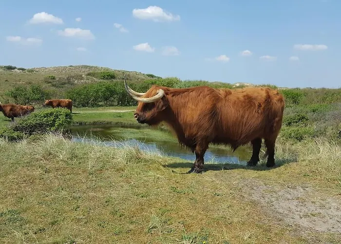 بيت للعطل Met Besloten Tuin