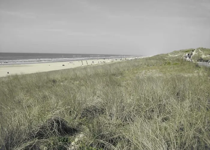 Met Besloten Tuin * Egmond-Binnen