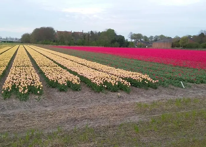 Met Besloten Tuin Ferienhaus Egmond-Binnen
