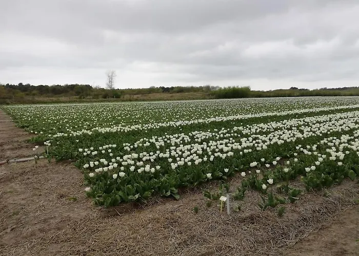 Met Besloten Tuin بيت للعطل *