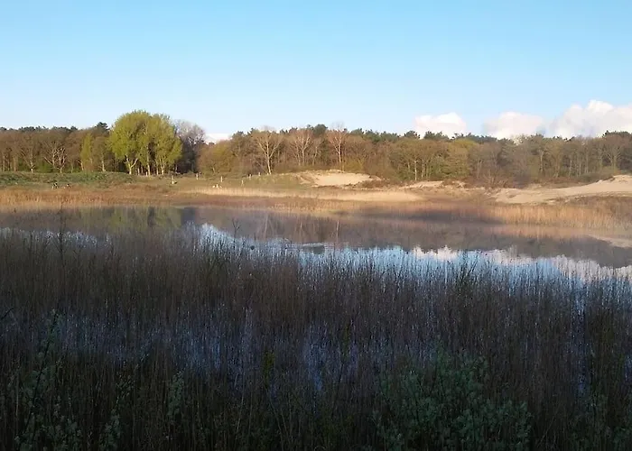 Met Besloten Tuin Ferienhaus *