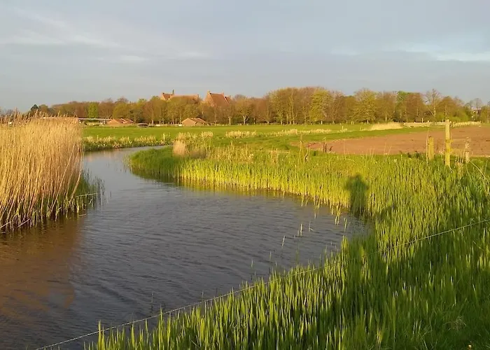 Ferienhaus Met Besloten Tuin Egmond-Binnen