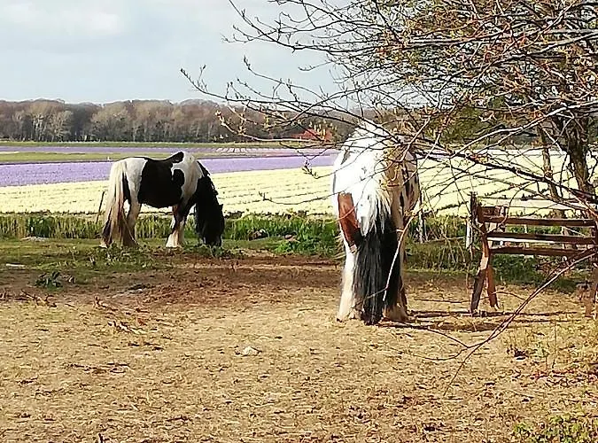 Met Besloten Tuin بيت للعطل