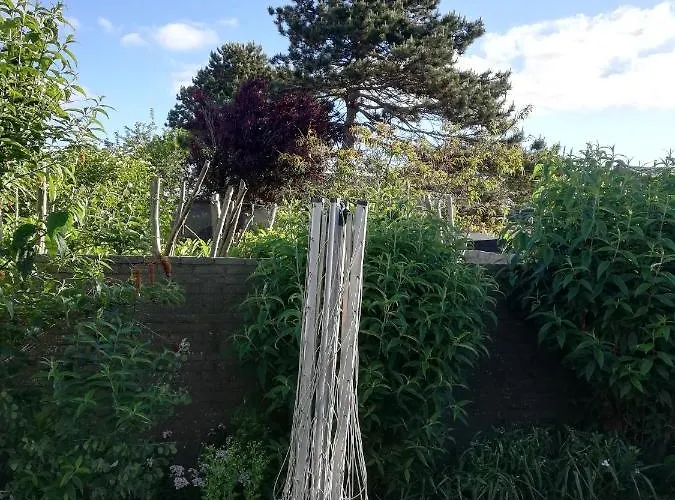 Ferienhaus Met Besloten Tuin